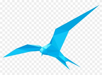 Cloud Server Hosting - Paper Bird Png
