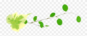 Cloud - Twig