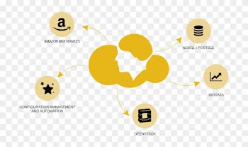 Cloud Whiz - Services - Smiley