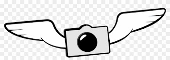 Cloud9logo Camera Bird - Logo Camera Png