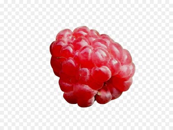 Cloudberry Raspberry Boysenberry Loganberry Tayberry -  