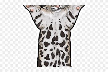 Clouded Leopard Clipart Leopard Head - Clouded Leopard