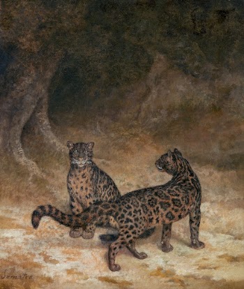 Clouded Leopards (ca. 1825) painting | Free Photo Illustration - rawpixel