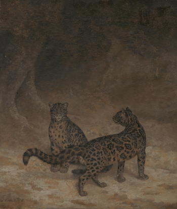 Clouded Leopards (ca. 1825) painting | Free Photo - rawpixel