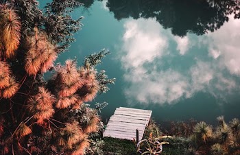 clouds reflecting on green body of water with white dock