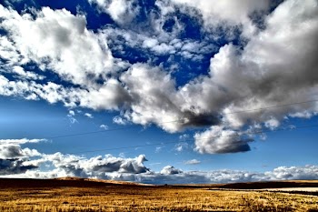 Cloudy Day