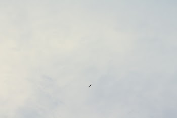 Cloudy Sky 