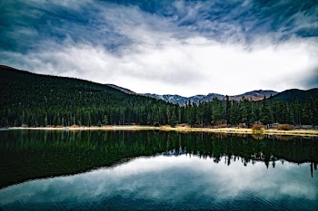 Cloudy Sky over Body of Water Near Tree