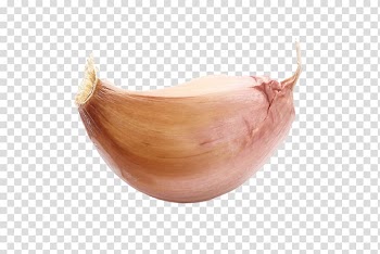 Clove of garlic, Solo garlic Vegetable, A garlic transparent background PNG clipart