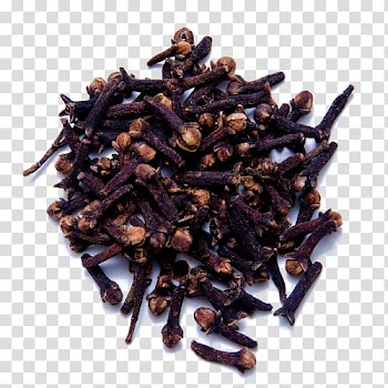 Clove Spice Masala chai Indonesian cuisine Maluku Islands, whole transparent background PNG clipart