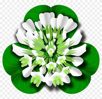 Clover Flower Clipart