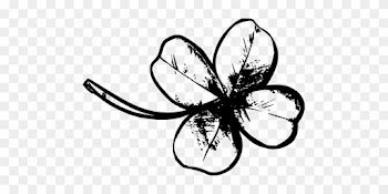 Clover Four Leaf Clover Plant Patrick Luck - 4 Leaf Clover Black And White