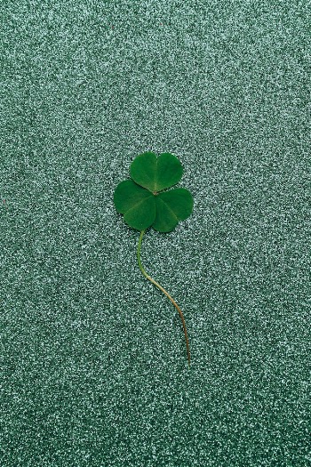 Clover on Glitter Background
