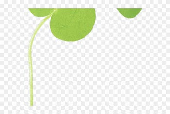Clover Png Transparent Images - Leaf