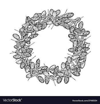 Clover seeds round frame gray vector image
