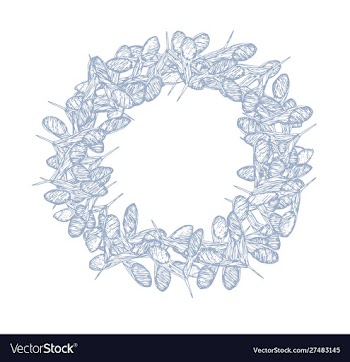 Clover seeds round frame light blue-01 vector image