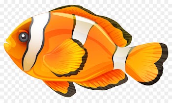 Clownfish Clip art - fish 
