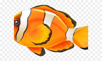 Clownfish Clipart Little Fish - Clipart Fish Transparent ...