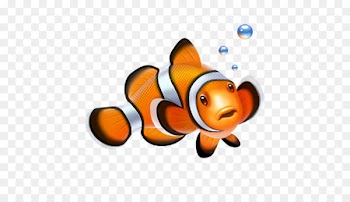 Clownfish Nemo Computer Icons - fish 