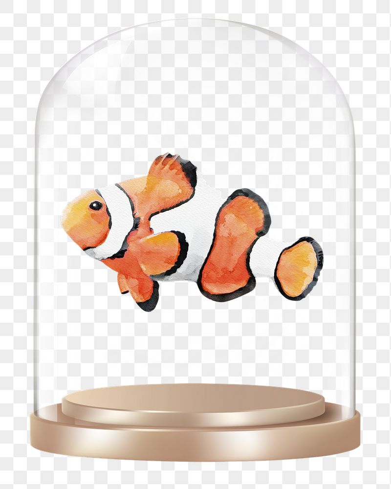Clownfish png glass dome sticker, | Free PNG - rawpixel