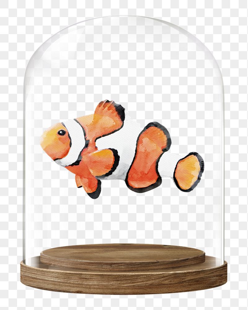Clownfish png glass dome sticker, | Free PNG - rawpixel