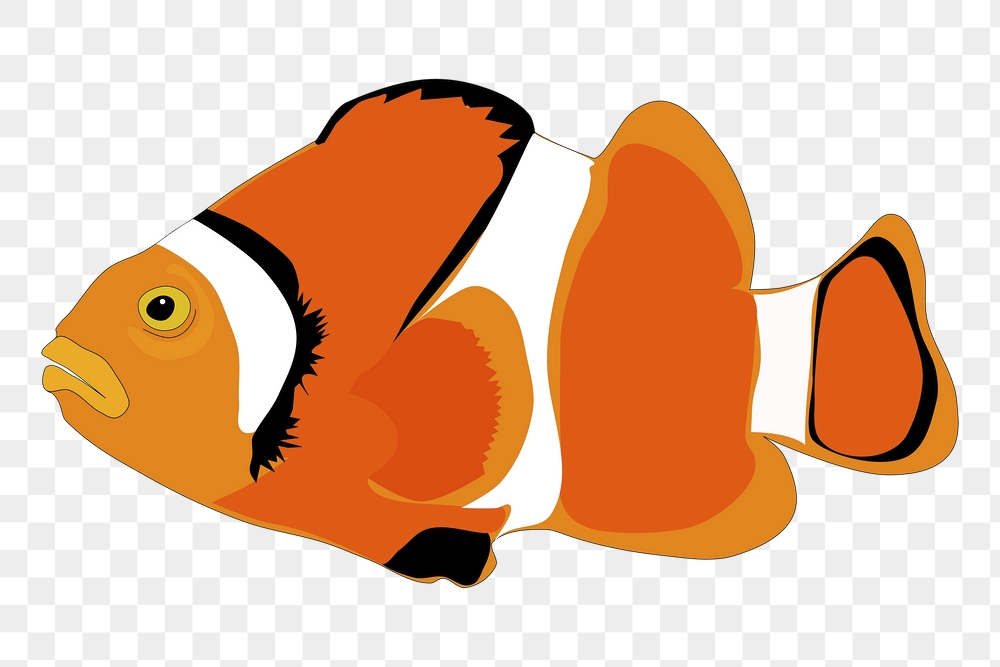 Clownfish png sticker, cute animal | Free PNG - rawpixel