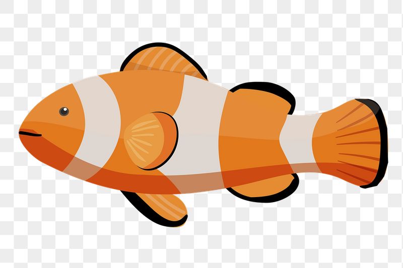 Clownfish png sticker, cute illustration, | Free PNG Illustration - rawpixel