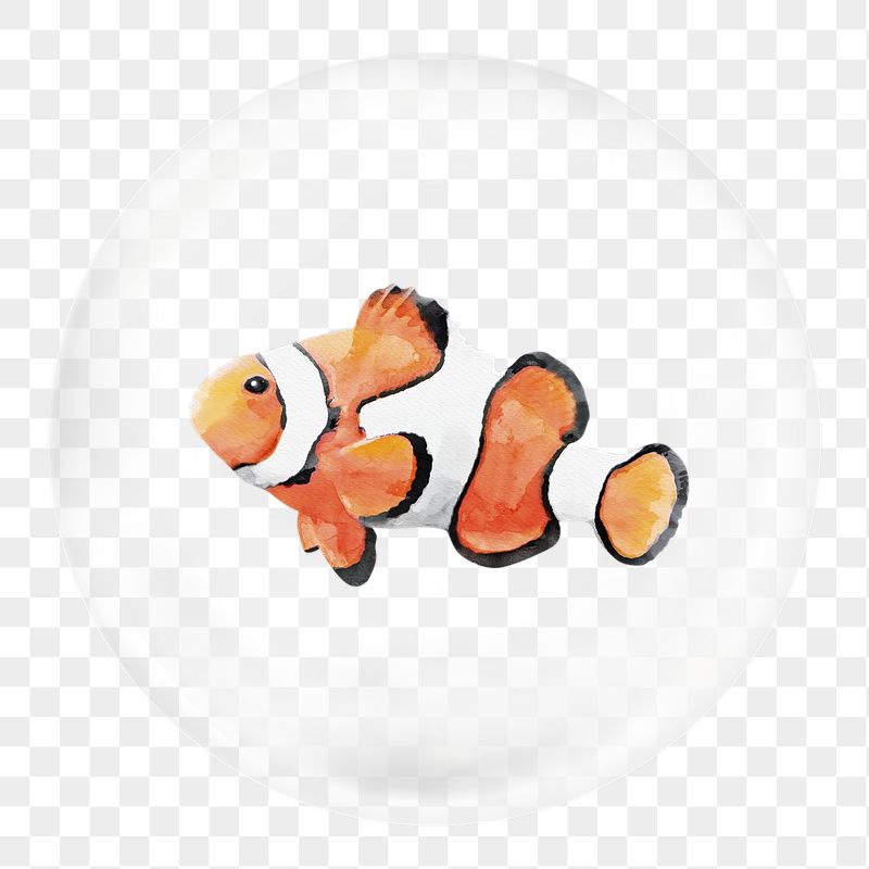 Clownfish png sticker, watercolor animal | Free PNG - rawpixel