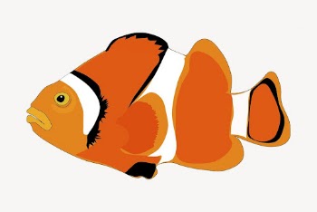 Clownfish sticker, cartoon animal illustration | Free Vector - rawpixel
