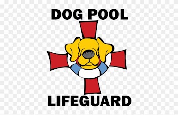 Club F - E - T - C - H - Lifeguard - Baby On Board Sign