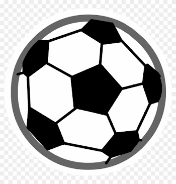 Club Penguin Soccer Ball