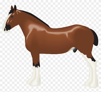Clydesdale Horse Clipart