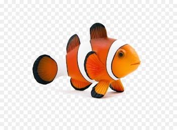 Clydesdale horse Ocellaris clownfish Toy - goldfish 