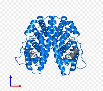 Cobalt blue Product Organism Font Line - estrogen filigree 