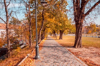 Cobblestone