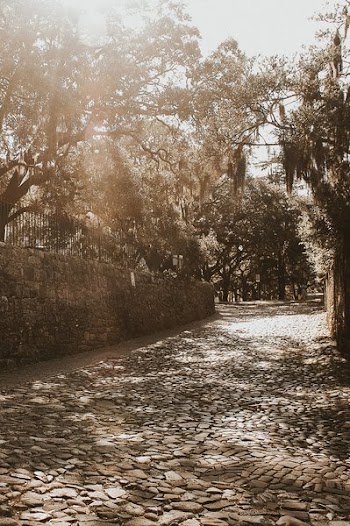 Cobblestone Street Georgia