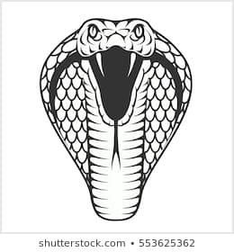 Cobra Images, Stock Photos & Vectors | Shutterstock