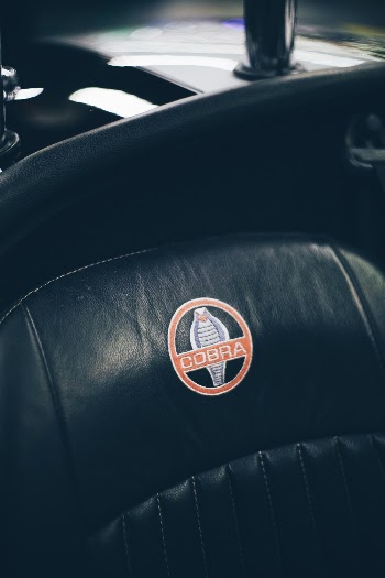 Cobra Logo Print on Car Seat