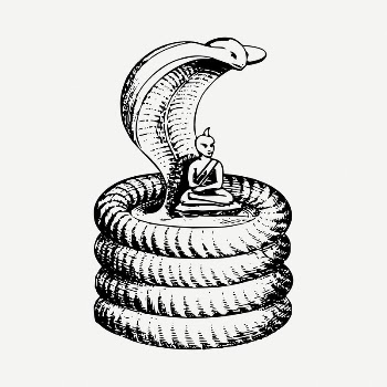 Cobra sage clipart illustration psd. | Free PSD - rawpixel