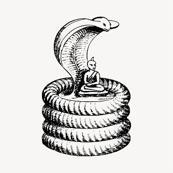 Cobra sage illustration clipart vector. | Free Vector - rawpixel
