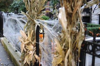 Cobweb Halloween Decor on Gate