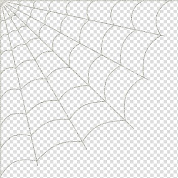 Cobweb transparent background PNG clipart