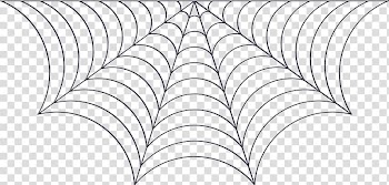 Cobweb transparent background PNG clipart
