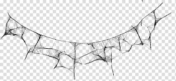 Cobweb transparent background PNG clipart