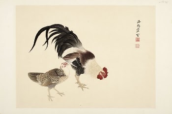 Cock and hen | Free Photo - rawpixel
