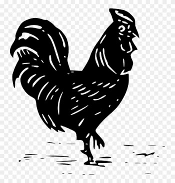 Cock Or Rooster - Cock Baby Chickens Drawings Png