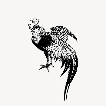 Cockerel bird collage element, animal | Free Vector Illustration - rawpixel