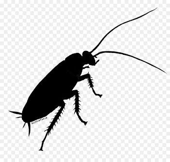 Cockroach Beetle Weevil Clip art Silhouette -  