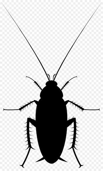 Cockroach Dee Dee Image Cartoon Portable Network Graphics -  