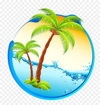Cocktail Coconut water Caribbean cuisine Coconut milk Arecaceae - Vector sunshine waves beach material 